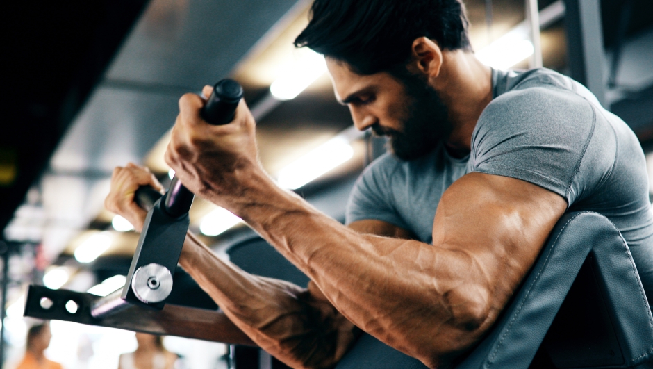 Muscoli delle braccia: tecniche e segreti per allenarli
