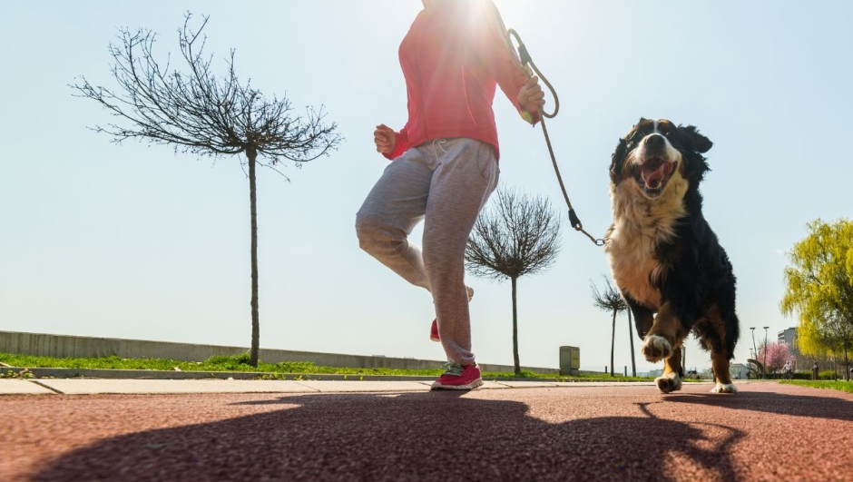 Dog Run Natural Trainer alla Roma Ostia 2023