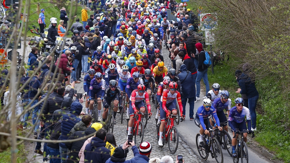 Ronde van Vlaanderen 2023 - Tour des Flandres - 107th Edition - Brugge - Oudenaarde 273,4 km - 02/04/2023 - Scenery - Peloton - Pavè - Climb - photo Luca Bettini/SprintCyclingAgency©2023