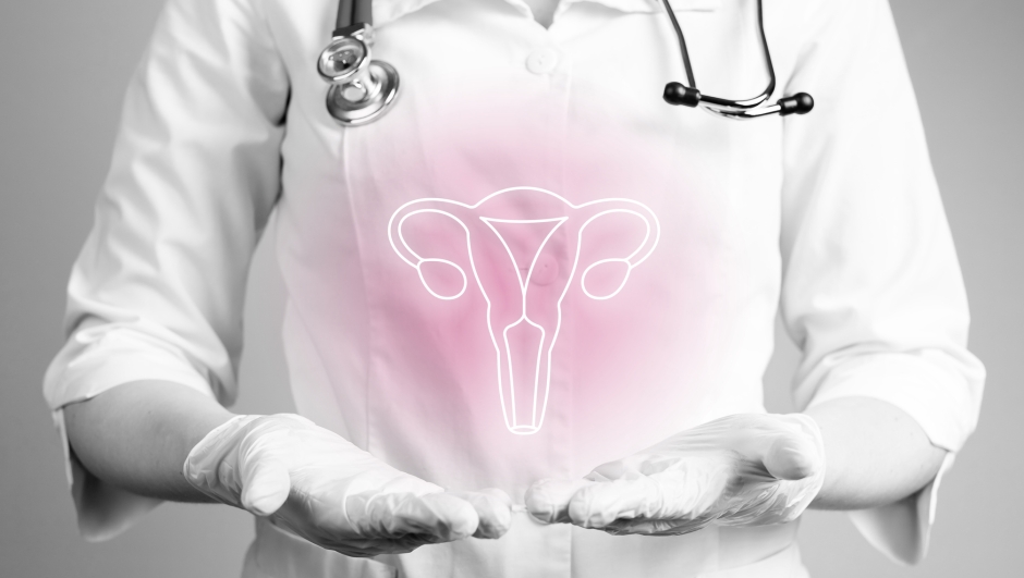 Uterus, wonb, ovary health. Gynecology concept. Female reproductive system anatomy, women healthcare. High quality photo