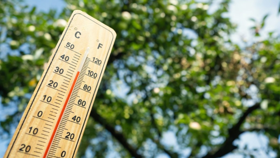 Copernicus e Onu: "Luglio 2023 è il mese più caldo mai registrato