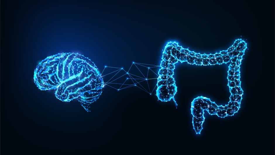 Futuristic gut brain connection concept with glowing low polygonal human brain and intestine isolated on dark blue background. Modern wire frame mesh design vector illustration.