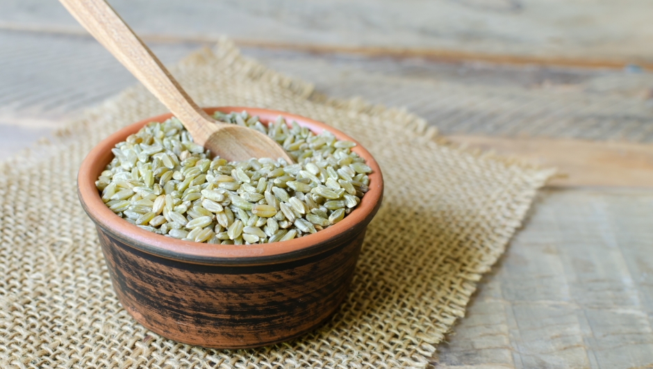 Raw freekeh or firik in ceramic bowl with spoon on burlap on wooden background. Concept of healthy food. Vegan and vegetarian food. Horizontal orientation. Copy space.