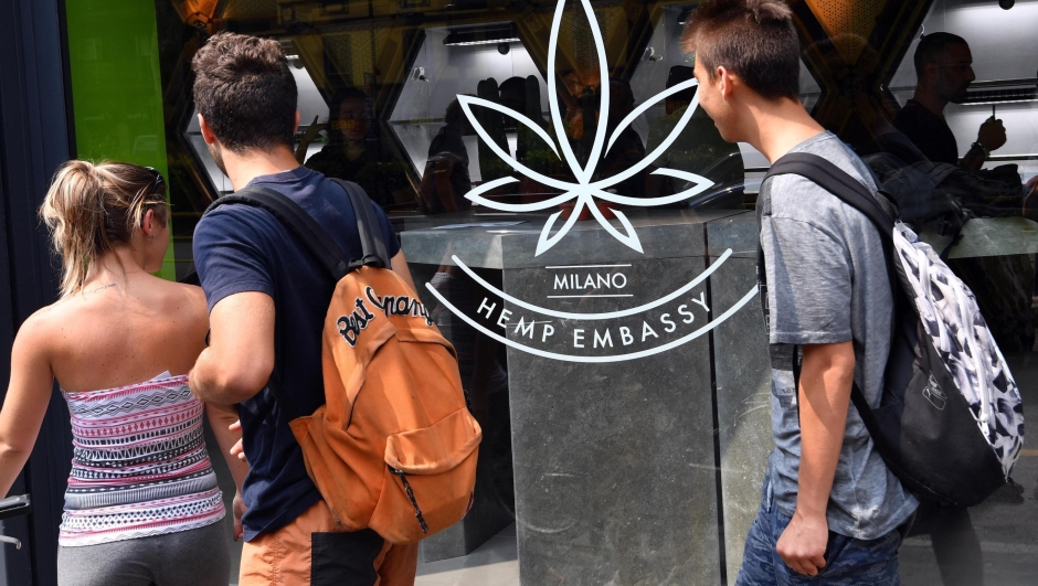 Opened the 'Hemp Embassy', the first shop dedicated to the sale of cannabis cuttings in Italy, Milan, 16 June 2017. ANSA/DANIEL DAL ZENNARO