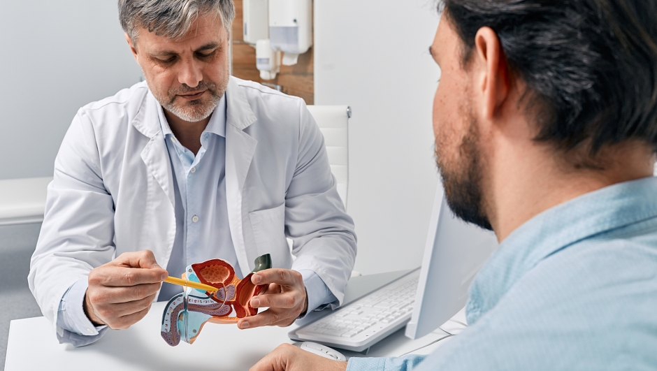 Doctor urologist consulting patient with prostatitis, explaining to him methods of treatment using anatomical model of male reproductive system. Prostatitis treatment
