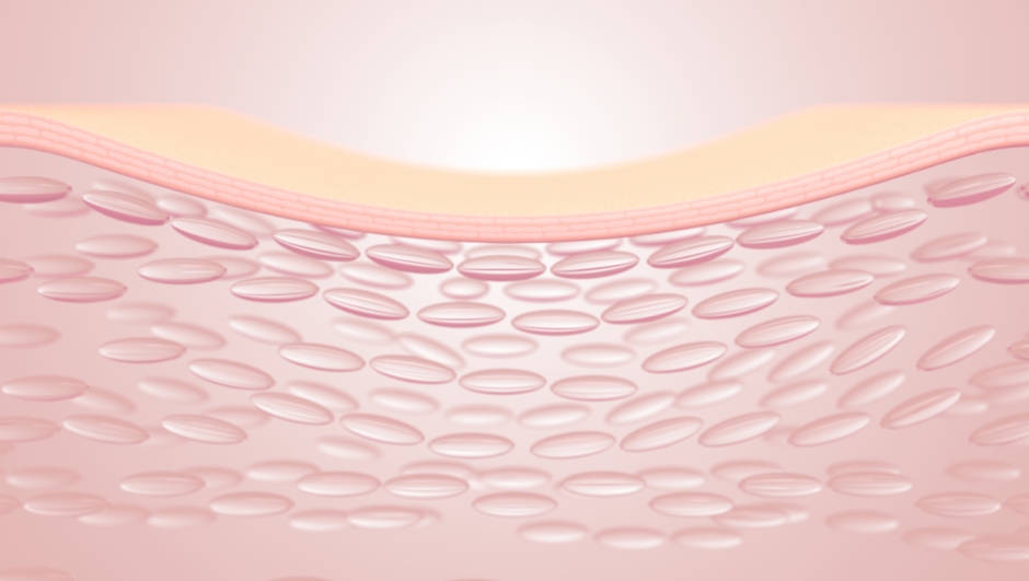 3D rendering The skin structure layer Microstructure
