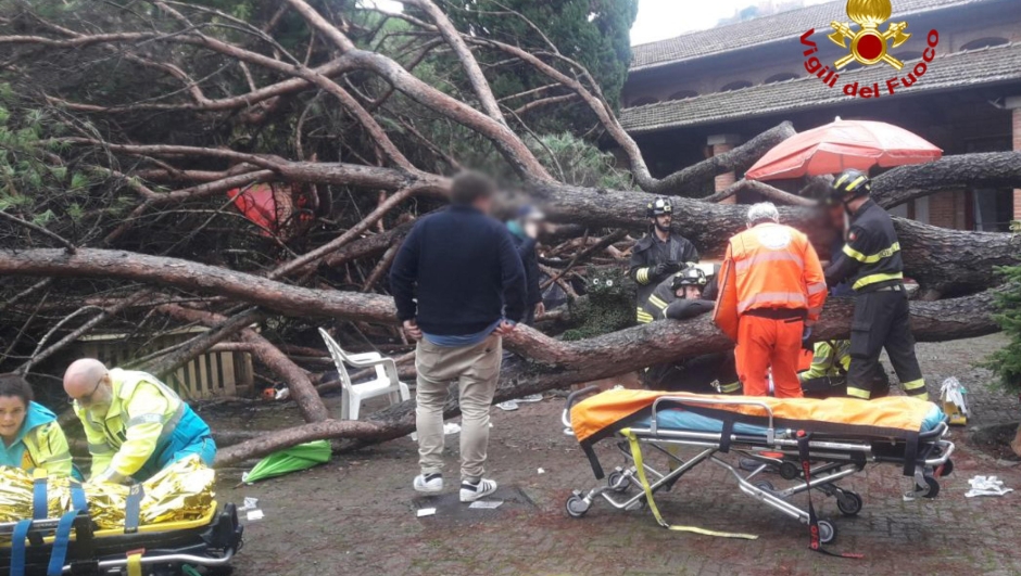 Sette persone risultano essere rimaste ferite per il crollo di un grosso pino nel parco dello stabilimento termale 'La Salute' a Montecatini (Pistoia), 10 Novembre 2023. ANSA/US VVFF