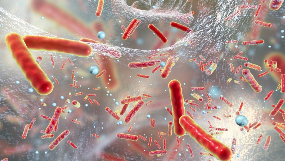 Batterio killer, cosa sappiamo su un nuovo possibile antibiotico