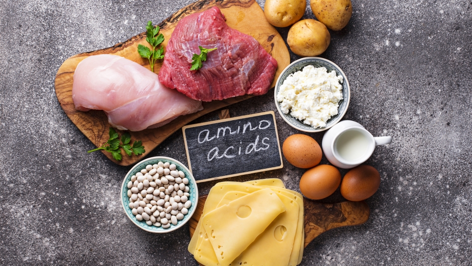 Products rich in amino acids.  Protein sources and food for bodybuilders