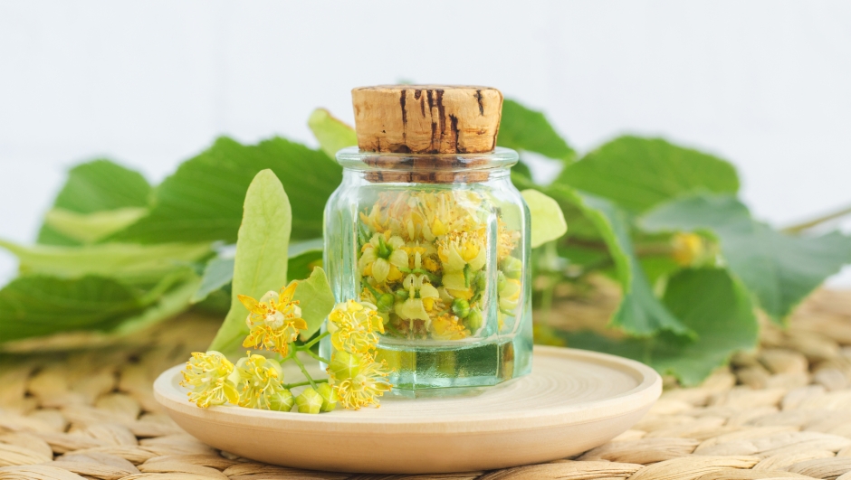 Small vintage bottle with linden (tilia, basswood, lime tree) flowers. Herbal medicine, phytotherapy and aromatherapy concept.