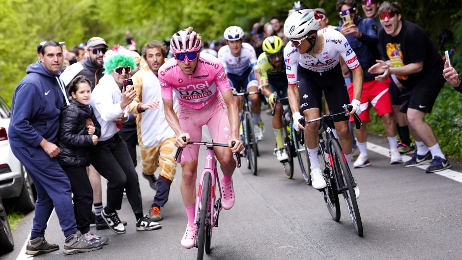 Pogacar Tadej (Team Uae Emirates) pink jersey, during the stage 20 of the Giro d'Italia from Alpago to Bassano del Grappa, Italy - Saturday, May 25, 2024 - Sport, Cycling (Photo by Fabio Ferrari / LaPresse)