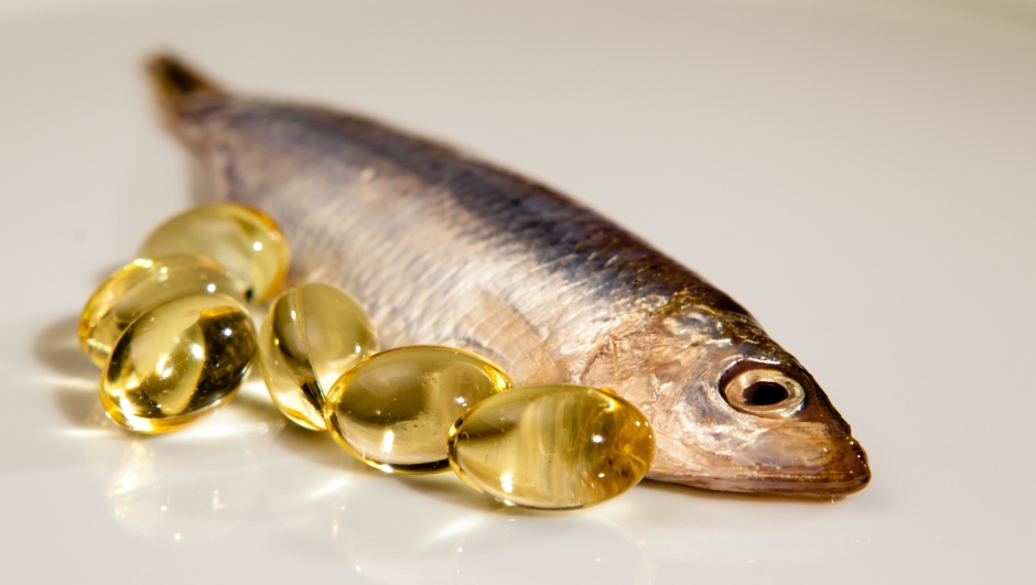 Integratori a base di olio di pesce: cosa sono e quando prenderli