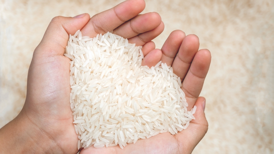 The jasmine rice seeds on the woman hands resemble hearts.