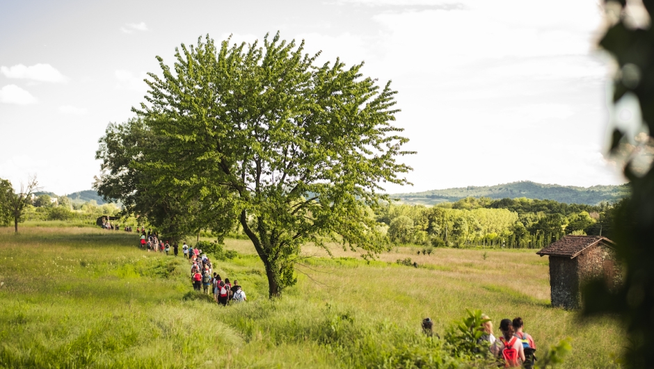 Piemonte attivo e accessibile: la nuova Via Francigena per tutti