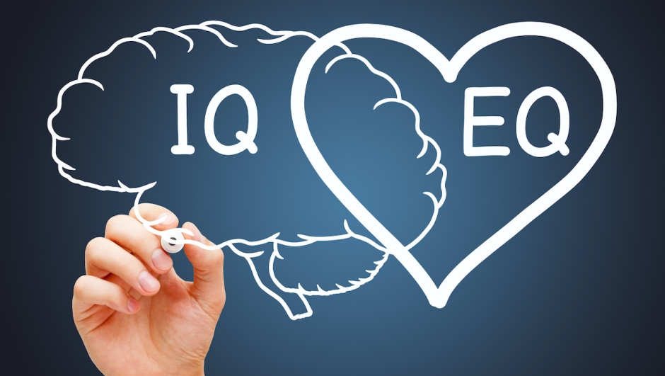 Hand drawing a heart and brain concept about the EQ emotional intelligence and IQ intelligence quotient.