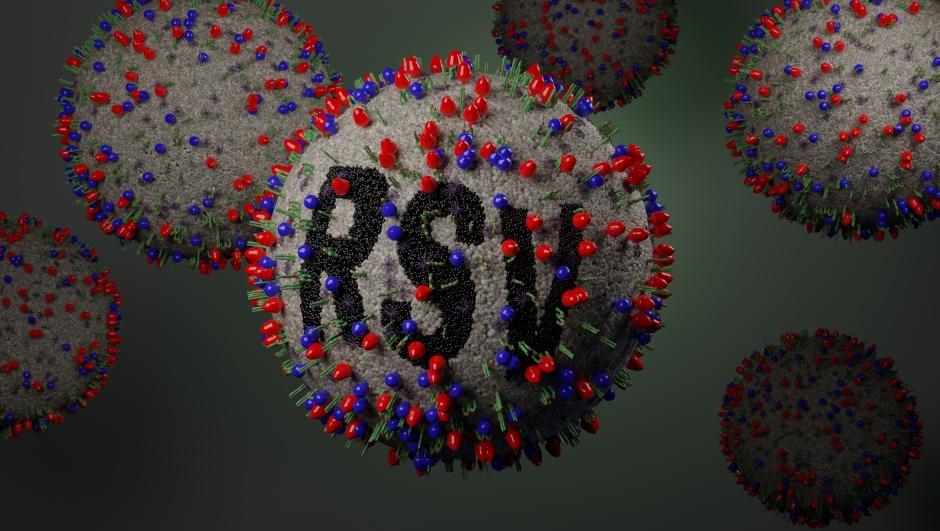 Illustration of Respiratory Syncytial Virus or RSV