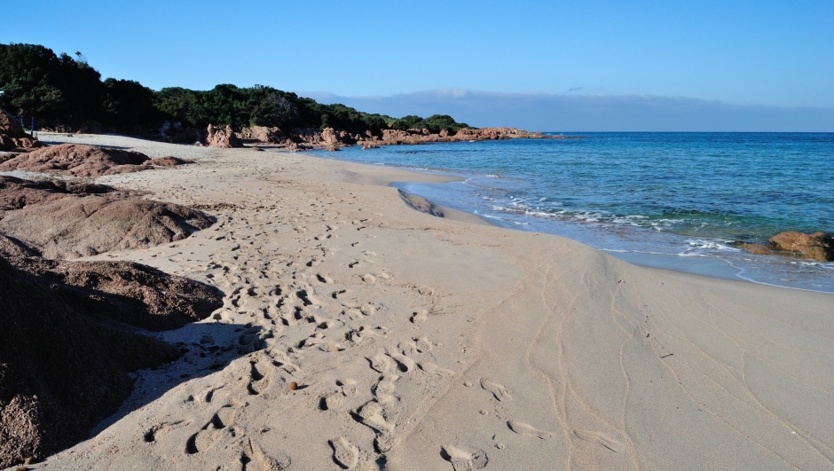 The beach of La Marinedda, Sardinia, Gallura, Trinità D'Agultu