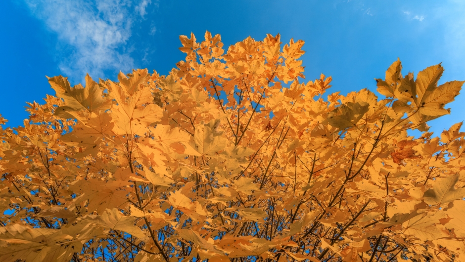 Meteo 13 ottobre e tendenza della settimana