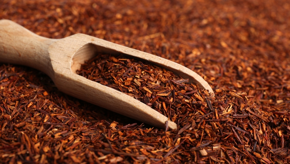 rooibos