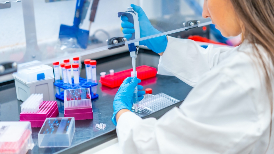 Rear view close-up of a female biologist pip petting cells in a laboratory