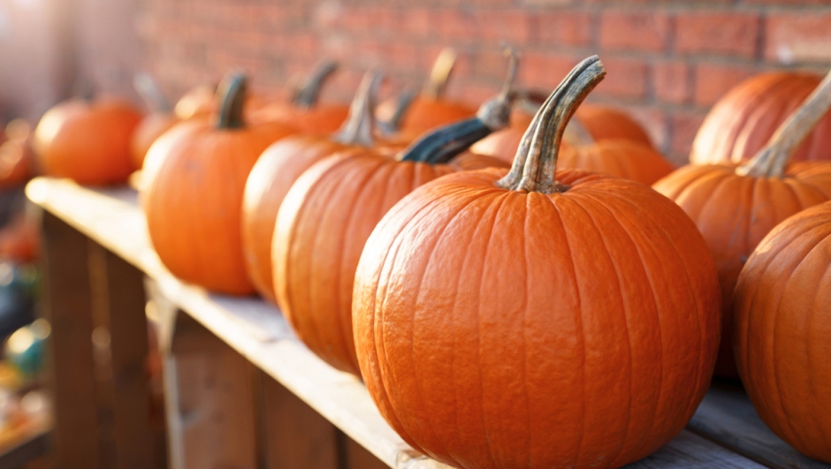 Zucca a dieta zuccheri e indice glicemico