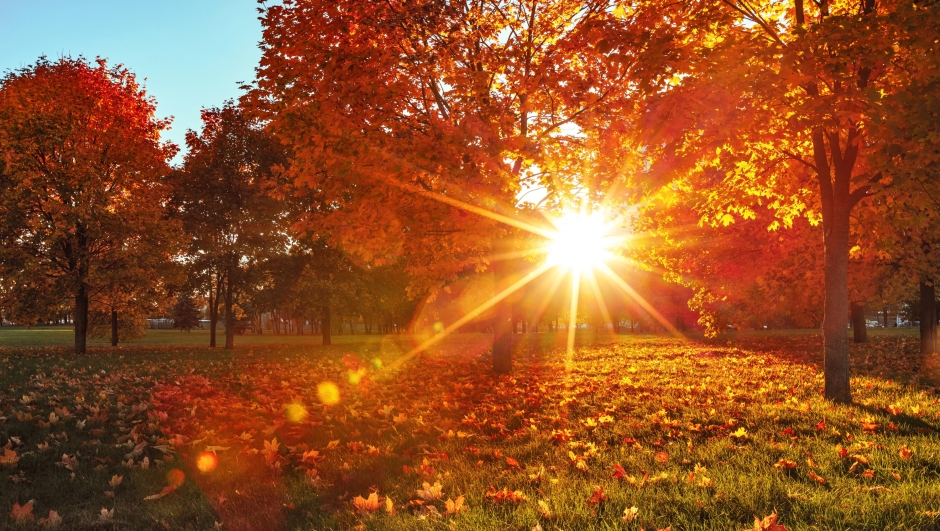 Meteo, previsioni dal 6 novembre: ancora caldo, poi freddo russo