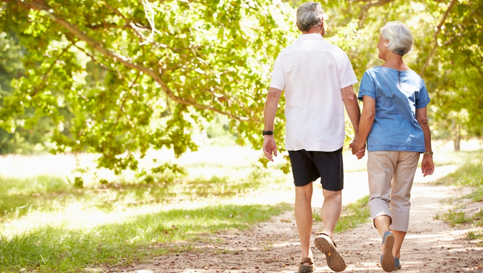 Senior couple walking together in the countryside, back view