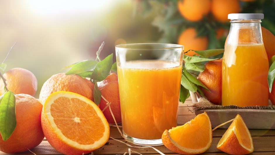 Glass of orange juice on a wooden table with bottle and orange sections. Tree and field background with evening sun. Horizontal composition. Front view