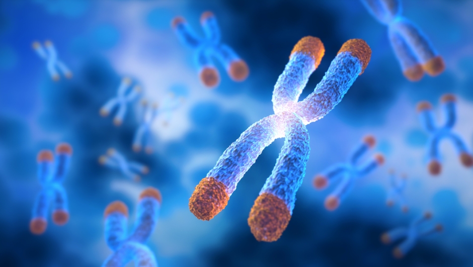 Chromosomes with Telomere  floating on blue cell background - science and anti aging technology - 3D illustration