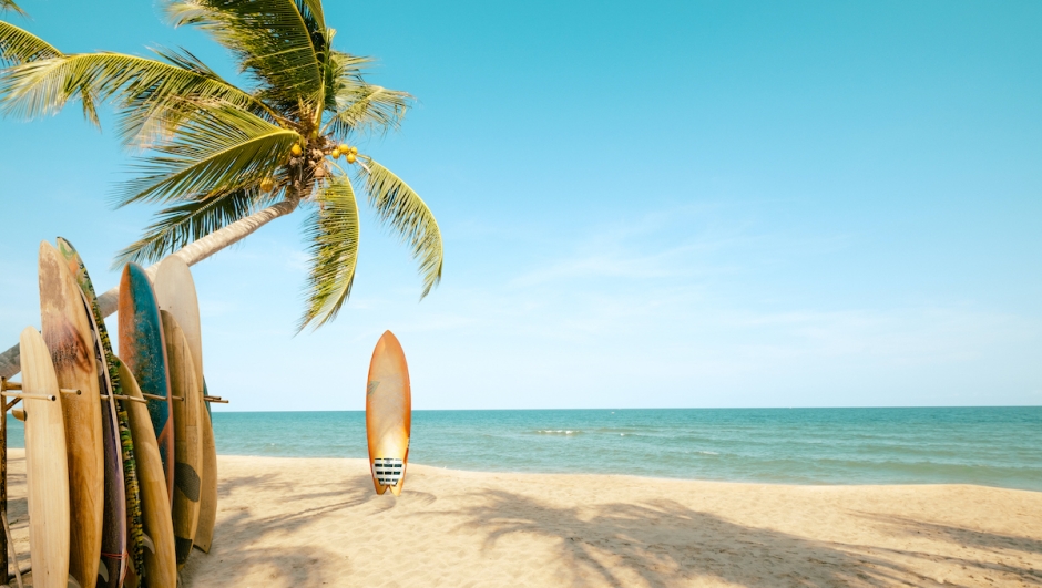 Surfboard and palm tree on beach with beach sign for surfing area. Travel adventure and water sport. relaxation and summer vacation concept. vintage color tone image.