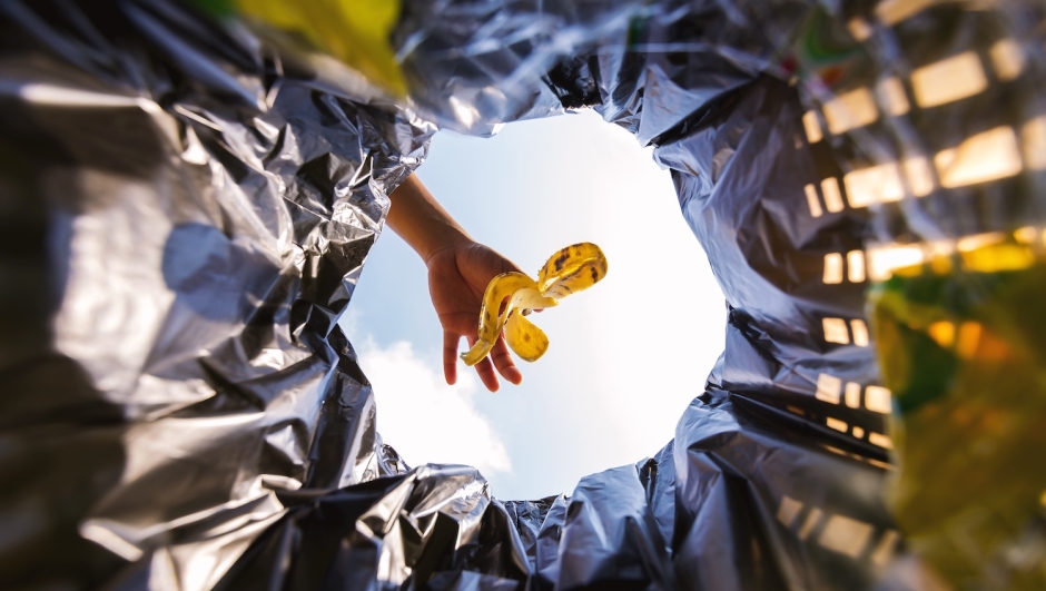 le 5 regole d'oro