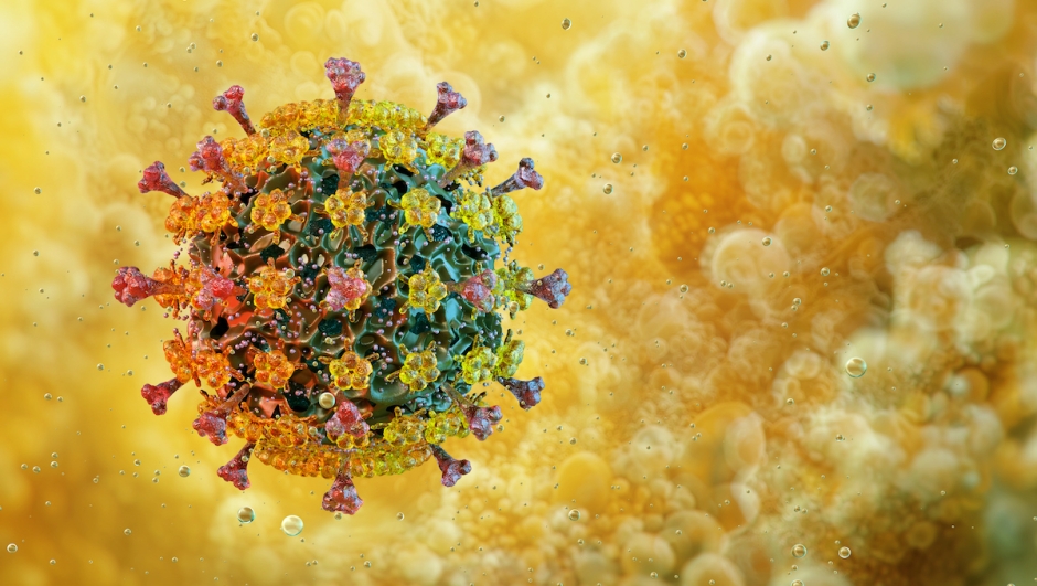 Avian influenza virus particle micrograph. Avian bird flu disease virus, H5N1, H7N9 strains. Virus structure with hemagglutinin, neuraminidase surface proteins. Viral infections, medical scientific 3D