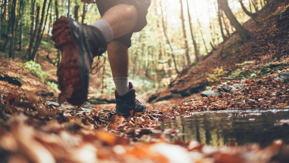 Close up of hiker boots crossing mountain forest stream in autumn. Low angle view of hiker walking, copy space.