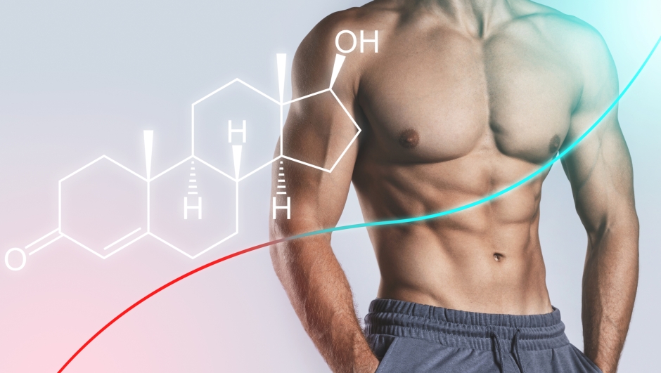 Che effetto ha l'esercizio fisico sul testosterone? La risposta degli esperti