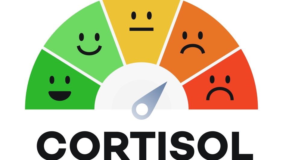 Cortisolo alto? 5 sintomi da non trascurare e quando rivolgersi a un medico