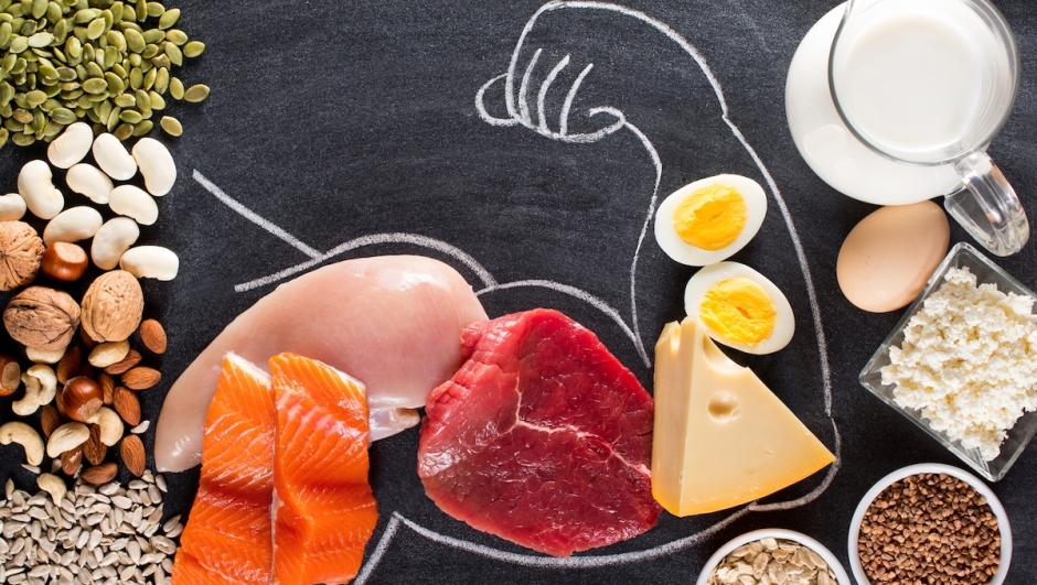 High protein food for body builders as meat, fish, dairy, eggs, buckwheat, oatmeal, nuts, bean, pumpkin seed and sunflower seed. Top view.