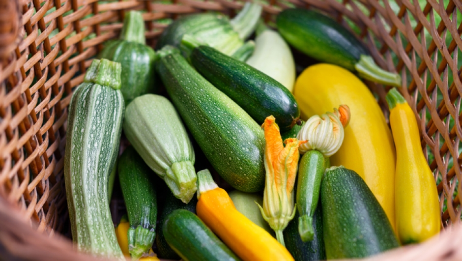 Varietà di zucchine