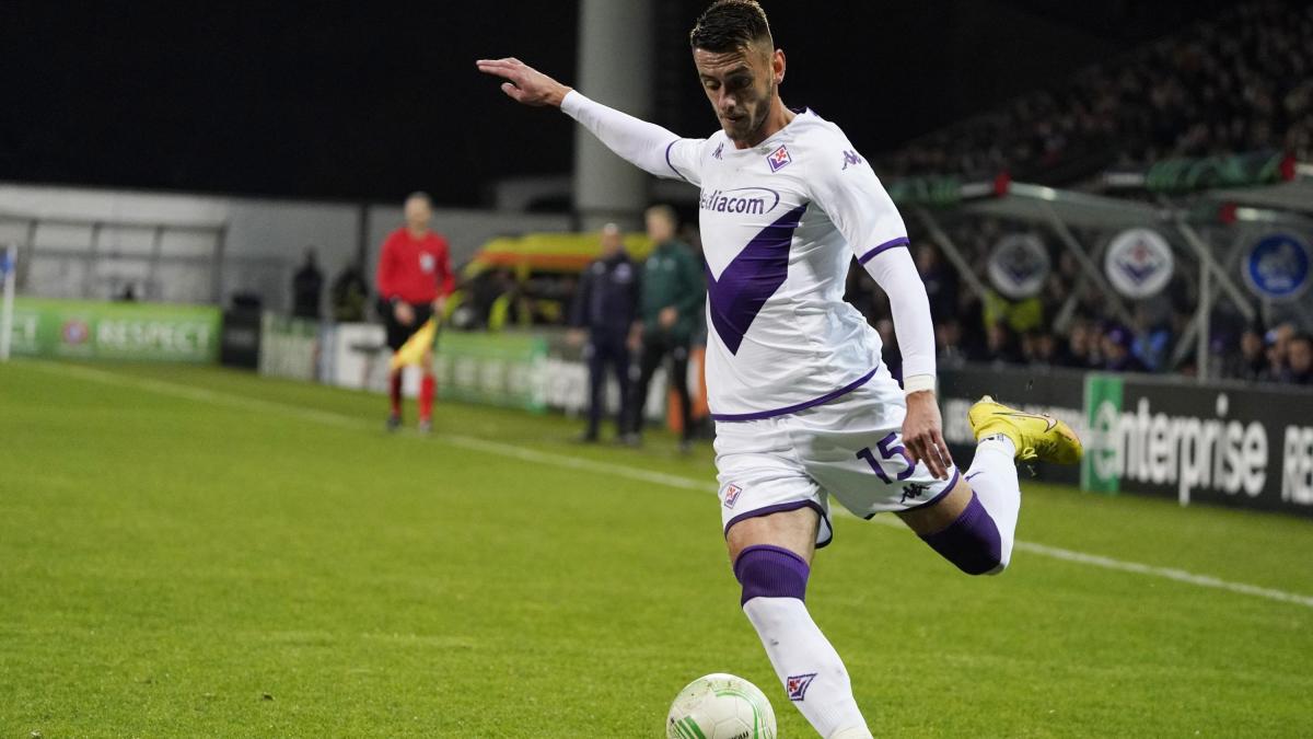 terzic frosinone ruolo quotazione fantacalcio e statistiche