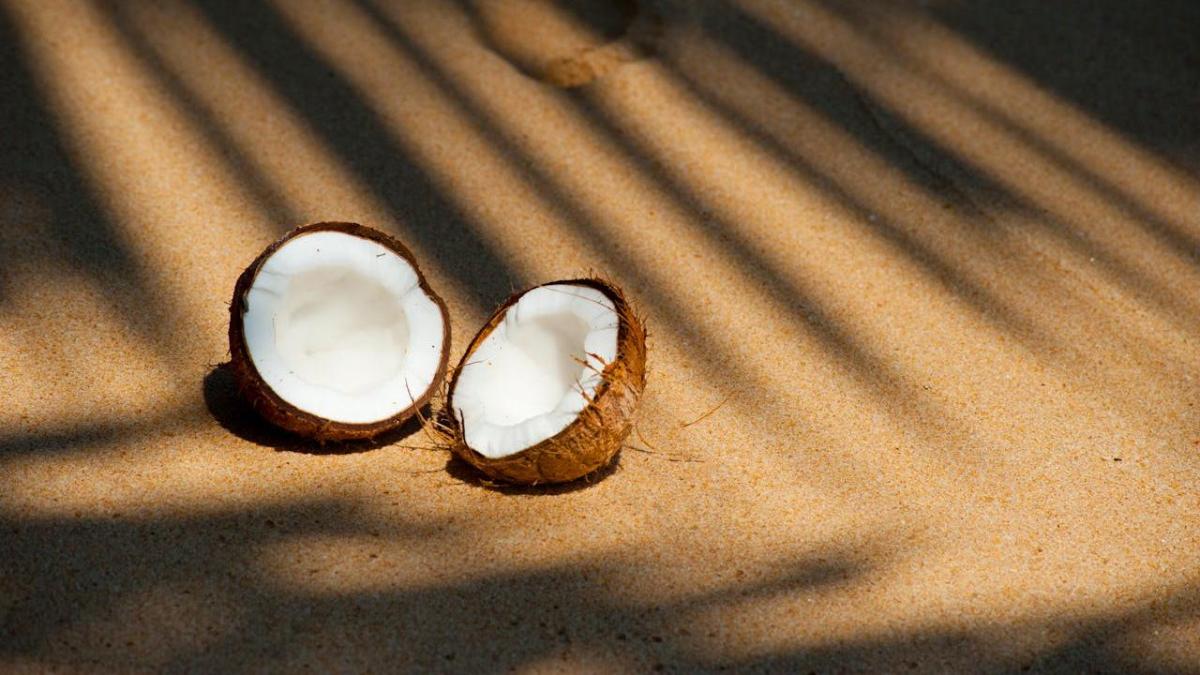 Coco: benefícios para o colesterol. Calorias, gordura e quanto comer