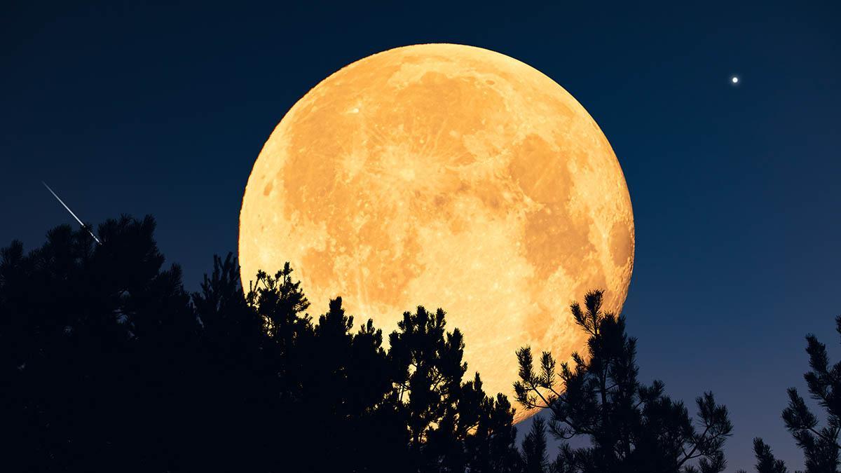 oggi c 232 la luna piena del cervo la pi249 potente dell8217estate a che ora vederla