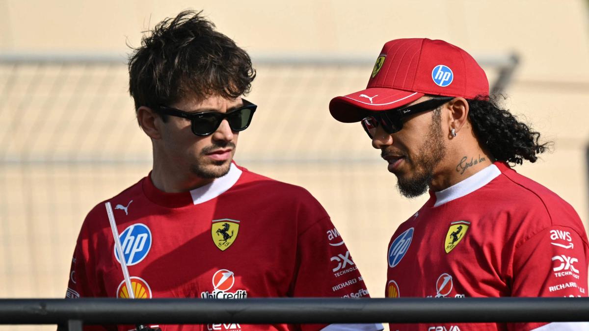 Hamilton: "Alla Ferrari per restare a lungo". Leclerc: "Visione a lungo termine" Hamilton: "Alla Ferrari per restare a lungo". Leclerc: "Visione a lungo termine"