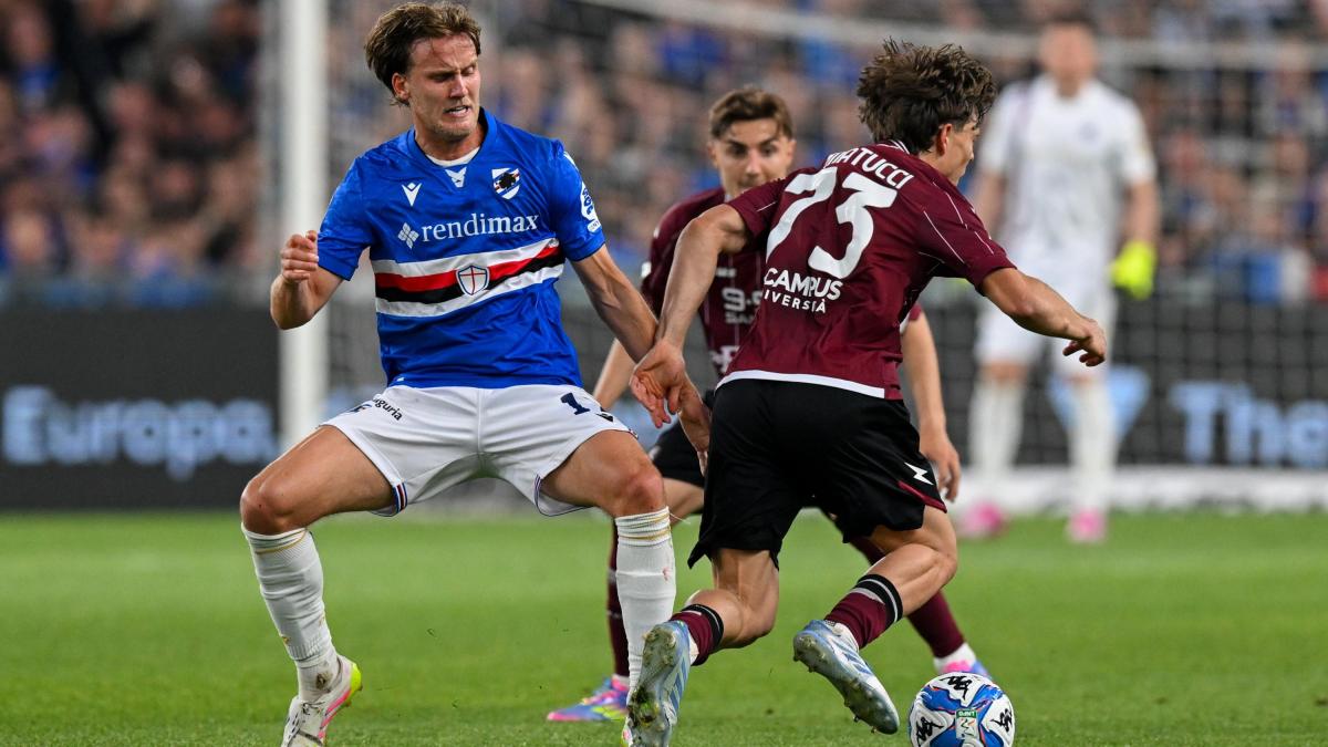 Samp, vittoria pesante con la Salernitana. Palermo e Catanzaro ai playoff