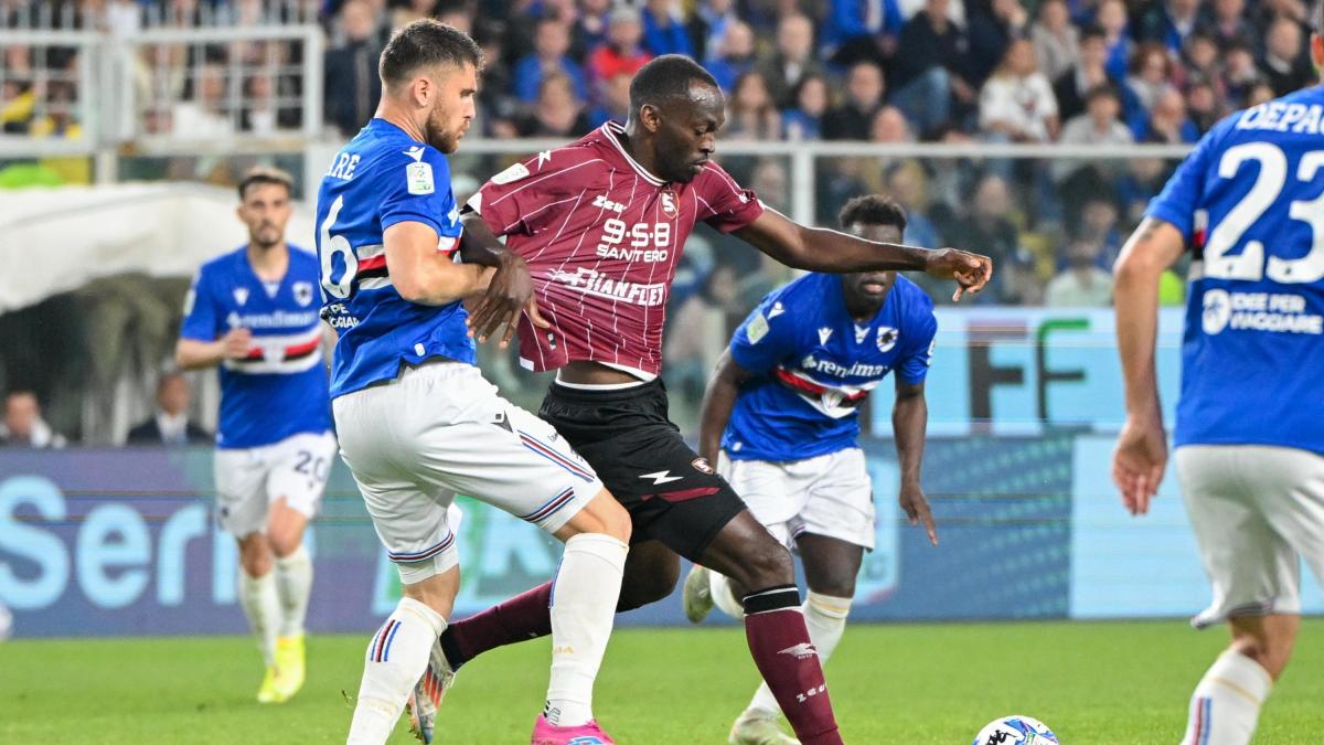 Penalizzazioni, ricorsi e contro ricorsi: è il giorno di Samp Salernitana, il playout della vita Penalizzazioni, ricorsi e contro ricorsi: è il giorno di Samp Salernitana, il playout della vita
