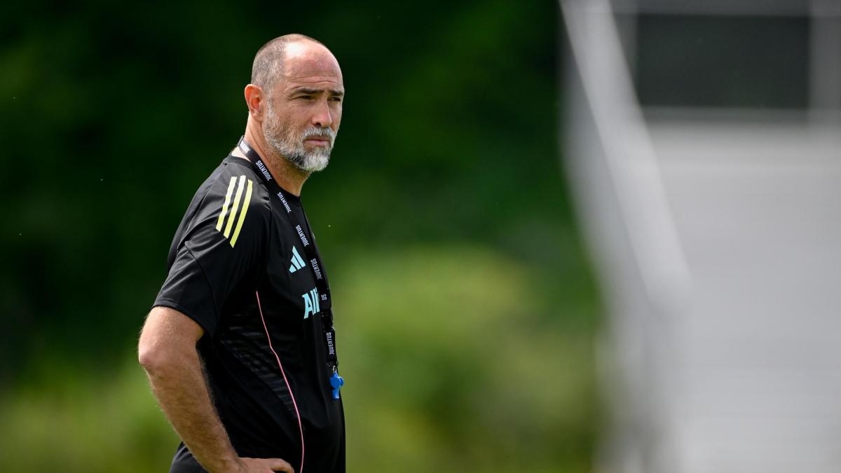 Tudor: "Non mi sono mai sentito un traghettatore. Con tre rinforzi top siamo competivi" Tudor: "Non mi sono mai sentito un traghettatore. Con tre rinforzi top siamo competivi"