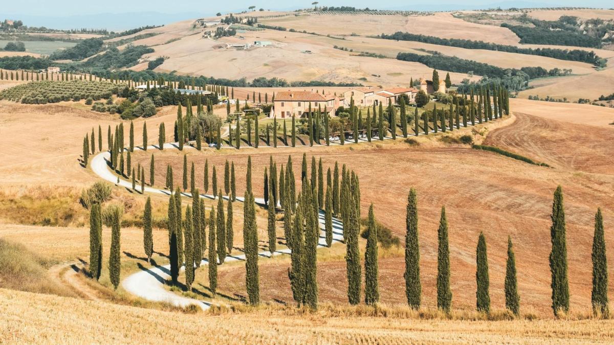 guidare su una strada privata regole multe e assicurazioni