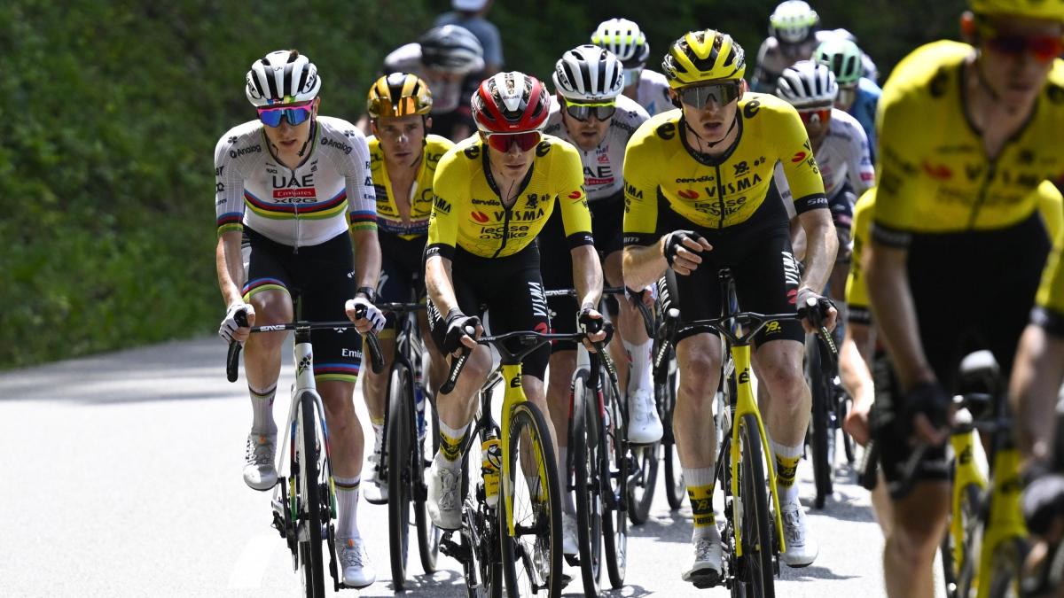 pogacar attento vingegaard al tour avr224 uno squadrone con van aert yates e affini