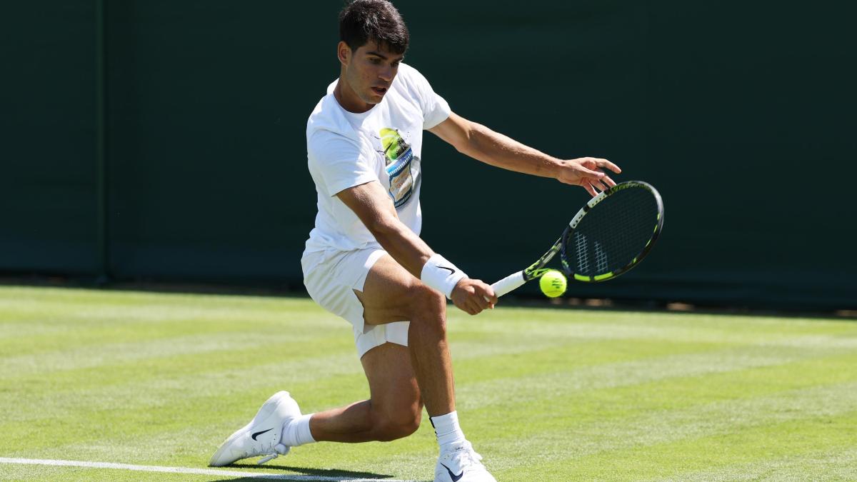 LIVE Wimbledon, la prima giornata: subito Alcaraz Fognini, poi Paolini e Berrettini LIVE Wimbledon, la prima giornata: subito Alcaraz Fognini, poi Paolini e Berrettini