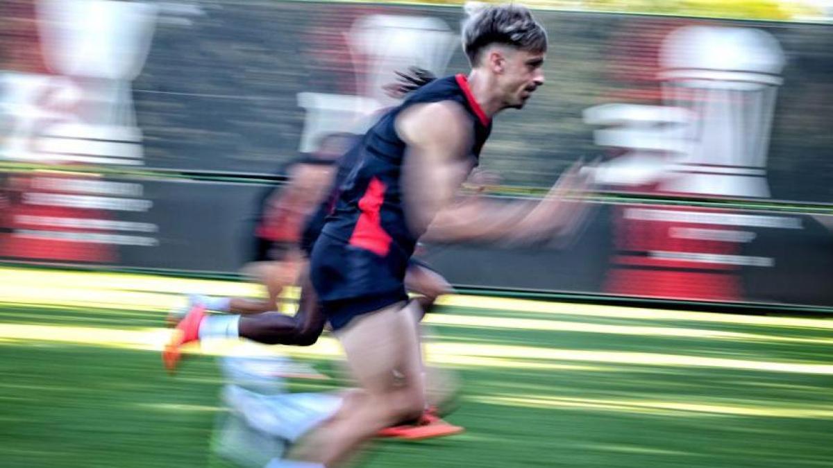 saelemaekers milan per te gioco ovunque da bambino volevo essere modric ora ci gioco insieme
