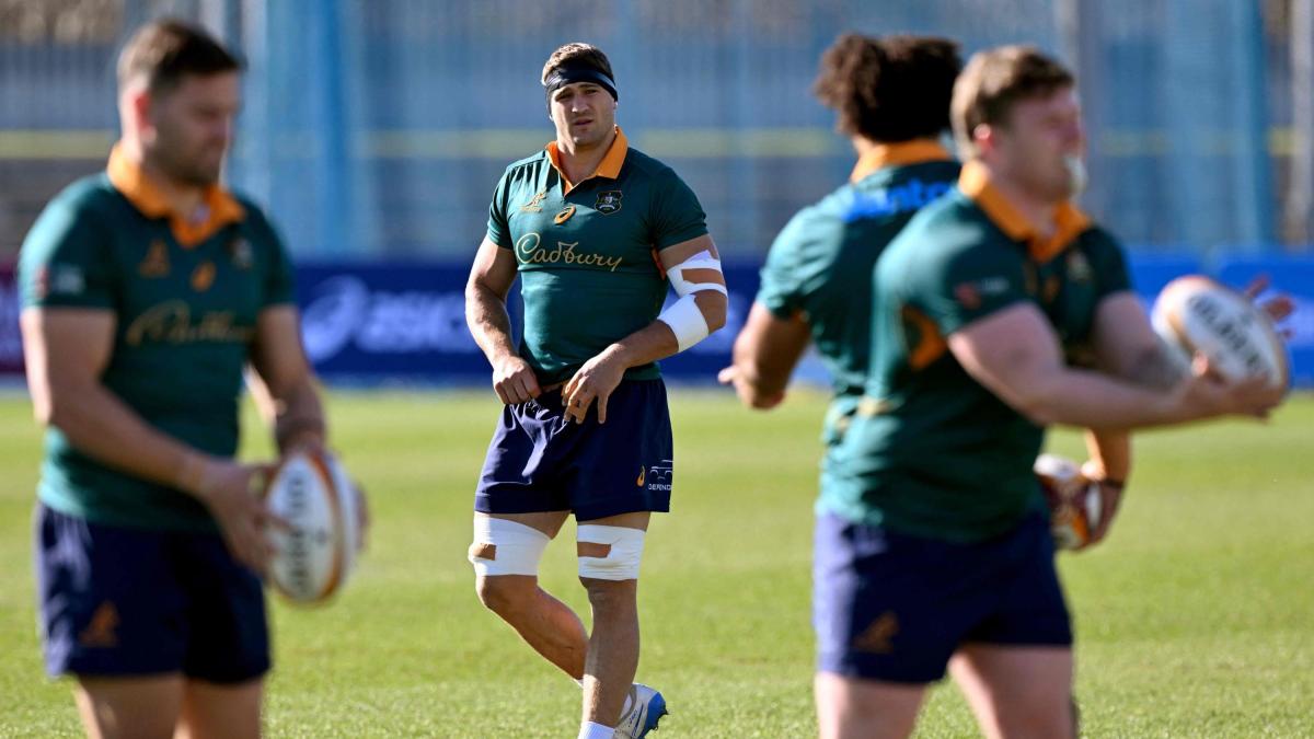 Contro i Lions l