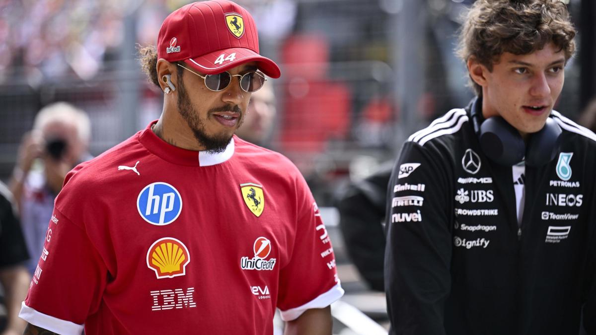 F1 Ungheria, le pagelle: Hamilton e Antonelli deludenti (5), Alonso inossidabile (7)